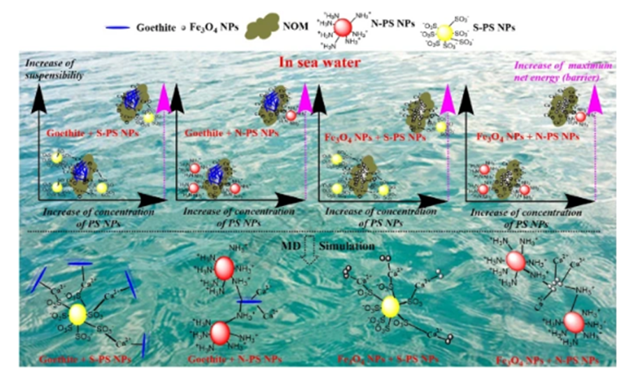Wu, A., Yang, C., Zhao, X. et al. Heteroaggregation and sedimentation of natural goethite and artificial Fe3O4 nanoparticles with polystyrene nanoplastics in water. Carbon Res. 3, 38 (2024). doi.org/10.1007/s44246…