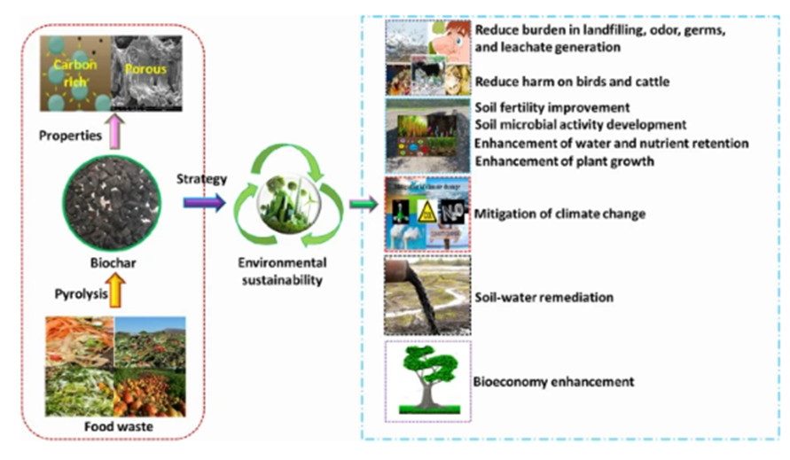 Pradhan, S., Parthasarathy, P., Mackey, H.R. et al. Food waste biochar: a sustainable solution for agriculture application and soil–water remediation. Carbon Res. 3, 41 (2024). doi.org/10.1007/s44246…