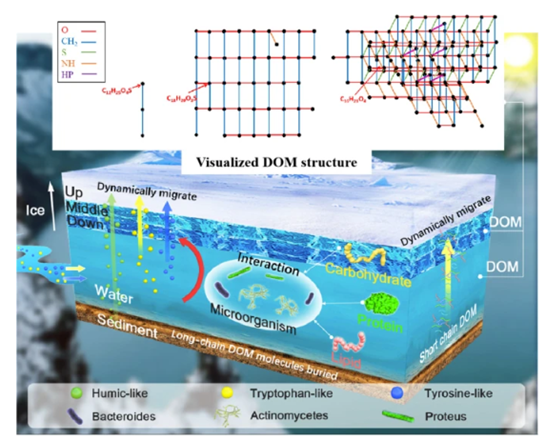 Wang, T., Feng, W., Liu, J. et al. Eutrophication in cold-arid lakes: molecular characteristics and transformation mechanism of DOM under microbial action at the ice-water interface. Carbon Res. 3, 42 (2024). doi.org/10.1007/s44246…