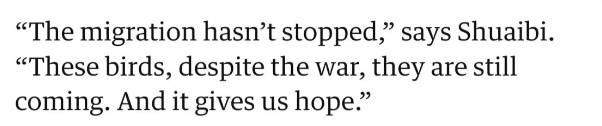 Sana Saeed tweet media