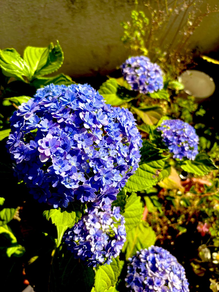 yasuchang0119's tweet image. #fymam
#teamVKS
@InterFM897 

Vanceさん、みなさん
Good morning🌞✨😎