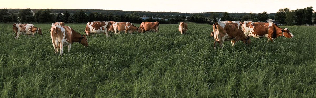 🥛🧀 ✨If you're like us, you're passionate about supporting local farmers and sustainable agriculture. That's why we work with Origin Milk. Learn more: buff.ly/3J76RDL