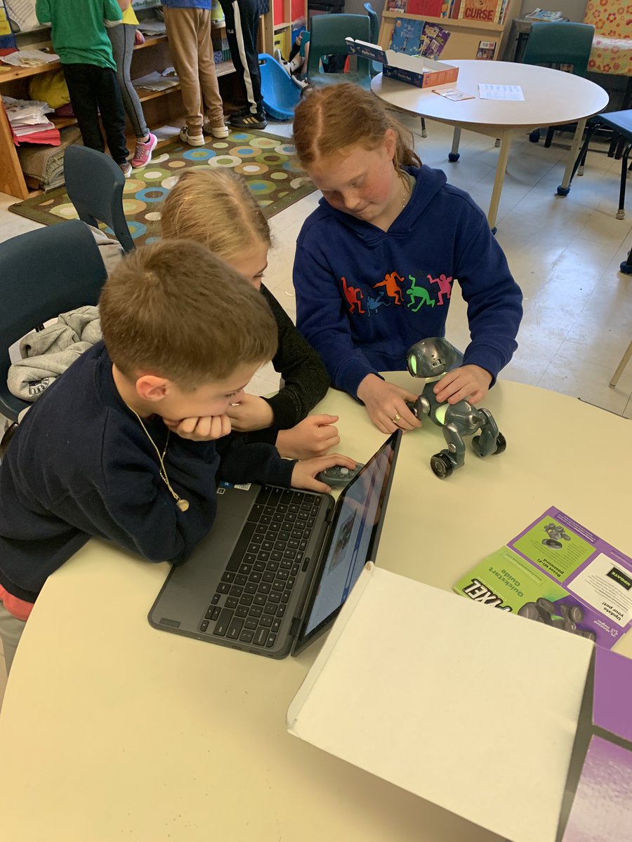 PE’s Library Learning Commons tweet media