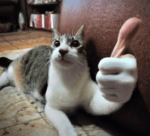 Stiloskk's tweet photo. @Malam_night21 @incelmagnet Não se preocupe, estou sempre aqui para te afundar https://t.co/44k5ooKGtC