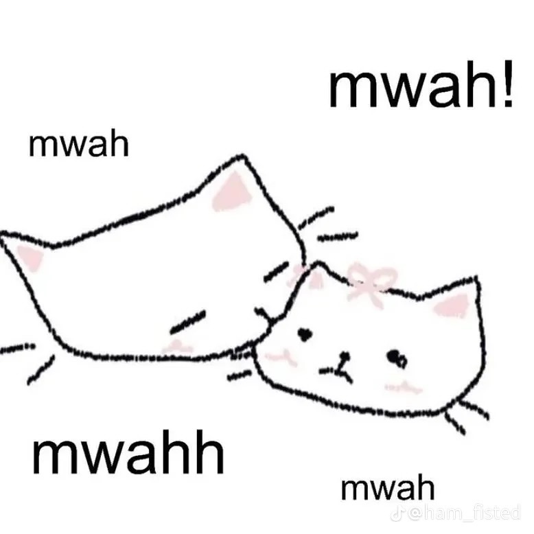 Punch Cat tweet media