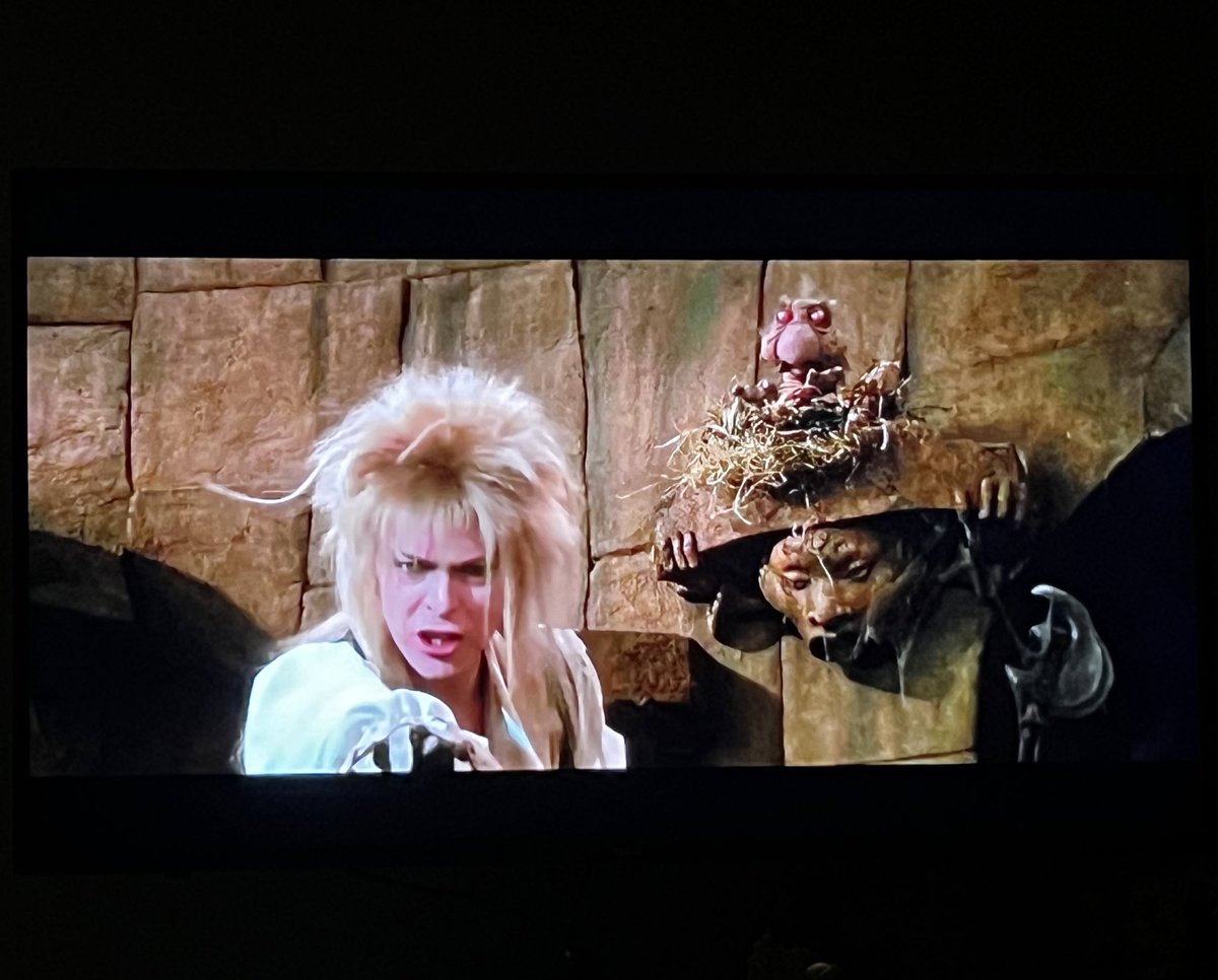 The Redheaded libertarian tweet media