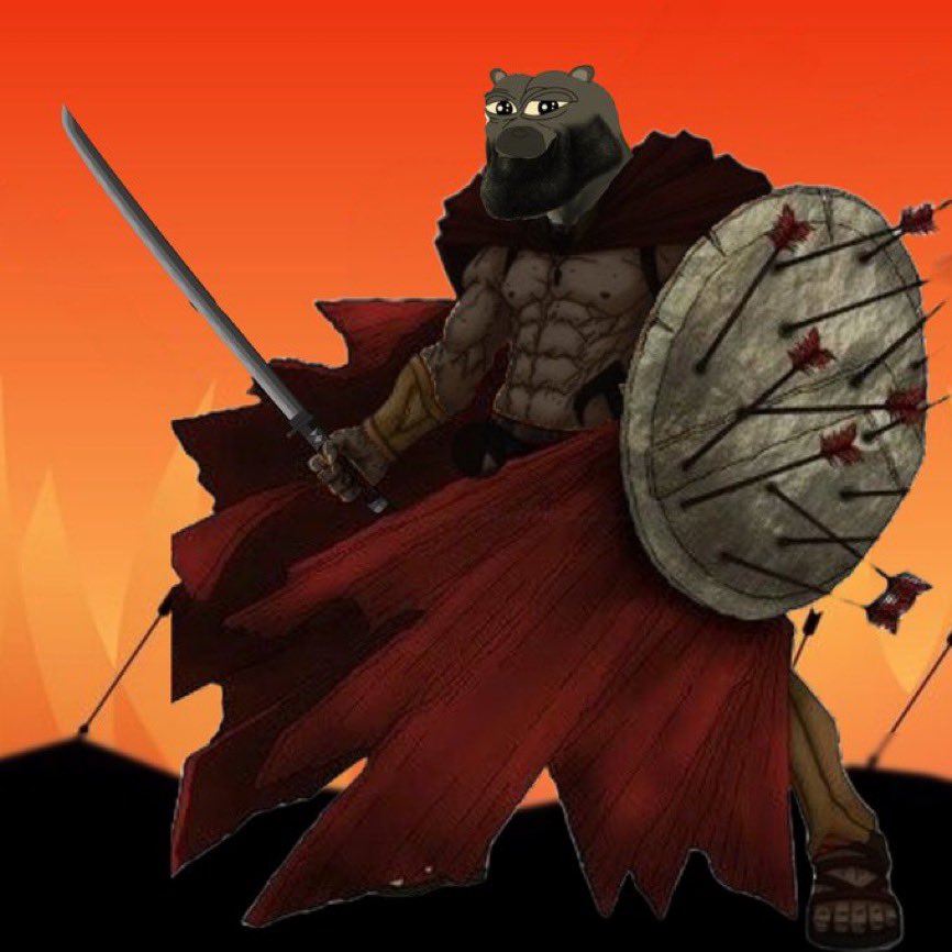 davidgokhshtein's tweet image. BOBO and only $BOBO.