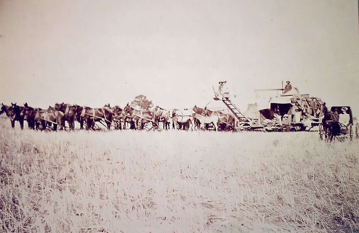 TomPorterDC's tweet photo. My Grandmother as an infant in a carriage with her mother in Lodi, CA (1901). Her grandfather was a 49er who left Mass. on a ship to Mexico, and rode a donkey up to mine gold in California's Gold Country. Then settled into agriculture in Lodi. Farm still there. #TomPorterSelects https://t.co/xI7Z90HXiw