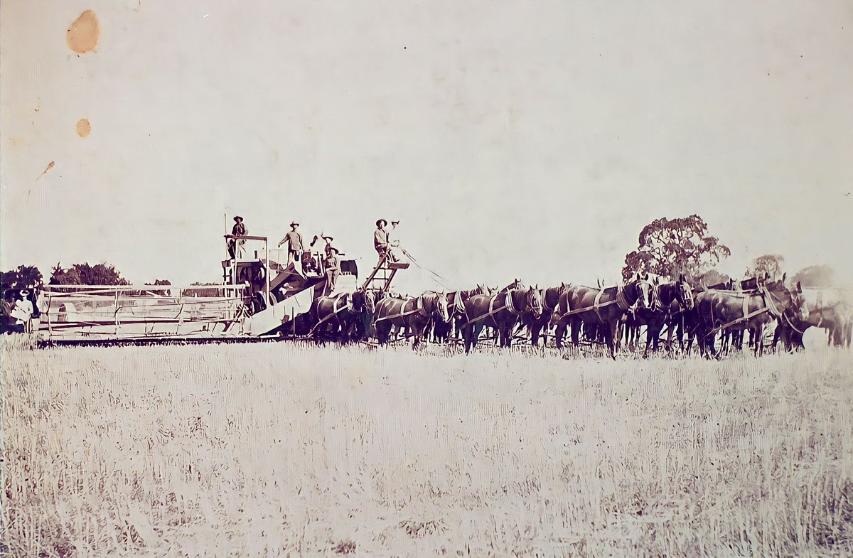 TomPorterDC's tweet photo. My Grandmother as an infant in a carriage with her mother in Lodi, CA (1901). Her grandfather was a 49er who left Mass. on a ship to Mexico, and rode a donkey up to mine gold in California's Gold Country. Then settled into agriculture in Lodi. Farm still there. #TomPorterSelects https://t.co/xI7Z90HXiw