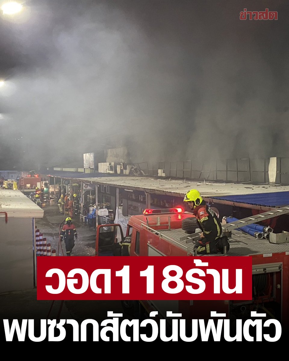 KhaosodOnline's tweet photo. เปิดความเสียหาย ไฟไหม้โซนสัตว์เลี้ยง ตลาดนัดจตุจักร เผาวอด 118 ร้าน พบซากสัตว์ตายนับ 1,000 ตัว เผยต้นเพลิง พนักงานโดดหนีตาย ควันพวยพุ่งหายใจไม่ออก
.
อ่านข่าว https://t.co/BL8b8tT6ES https://t.co/zMHorAV6Eg