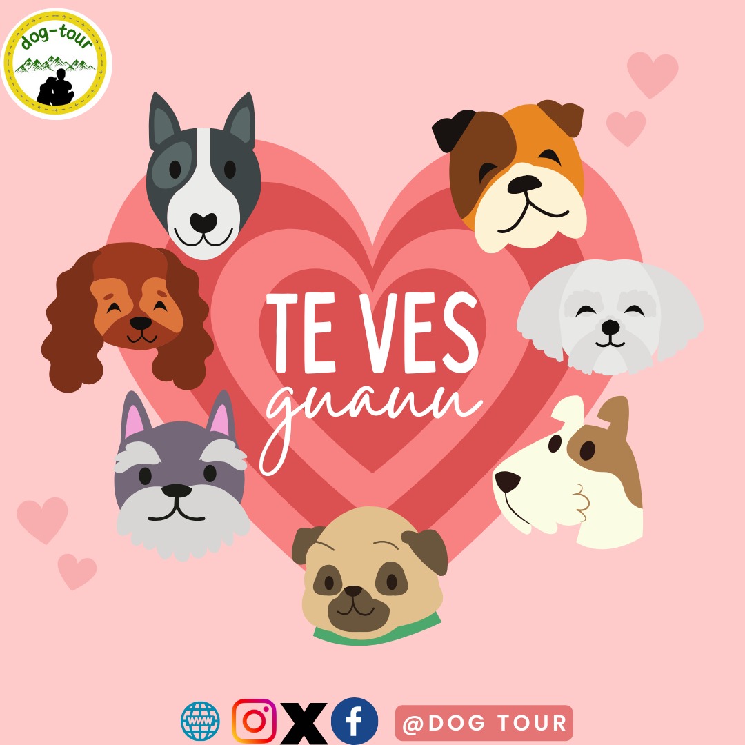 Dog_T0ur's tweet image. Por si nadie te lo ha dicho hoy⬇️😉

#DogTour #Viajesconperros #TurismoAlternativo #Dogfriendly  #Perritosfelices