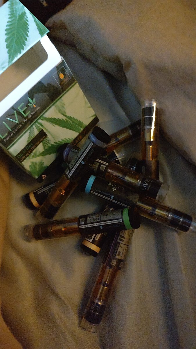 vasxia's tweet image. 