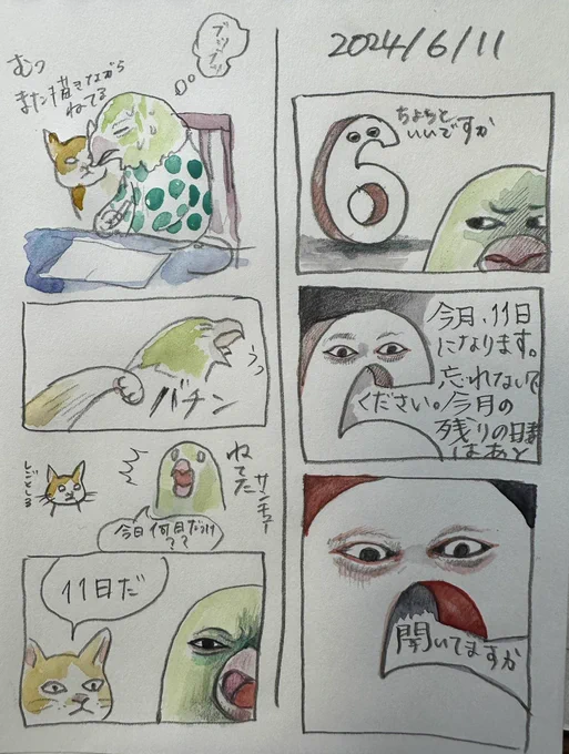 #ボリス絵日記

6月より11日を報告させていただきます

2024/6/11 
