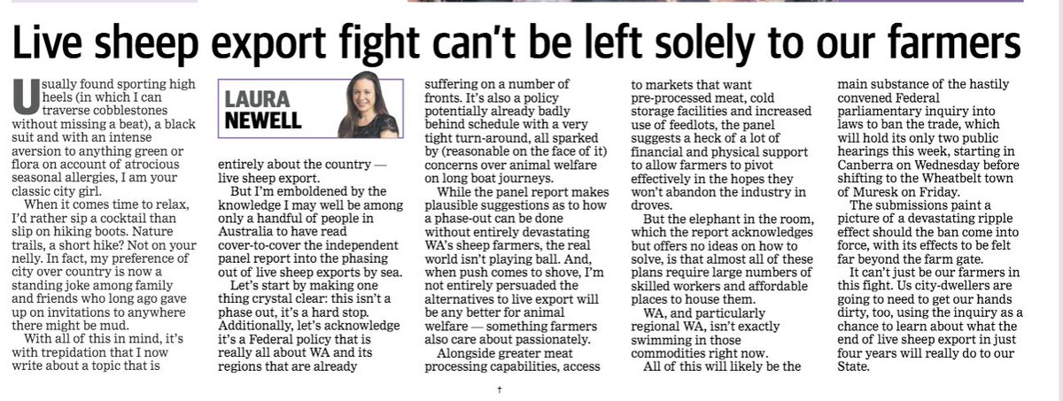 Jo Gilbert tweet media