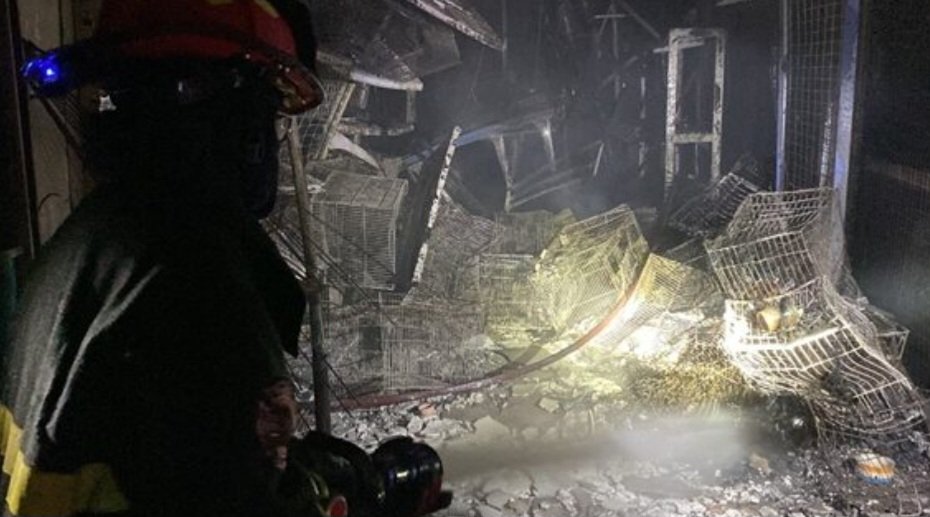 Khaosod English tweet media