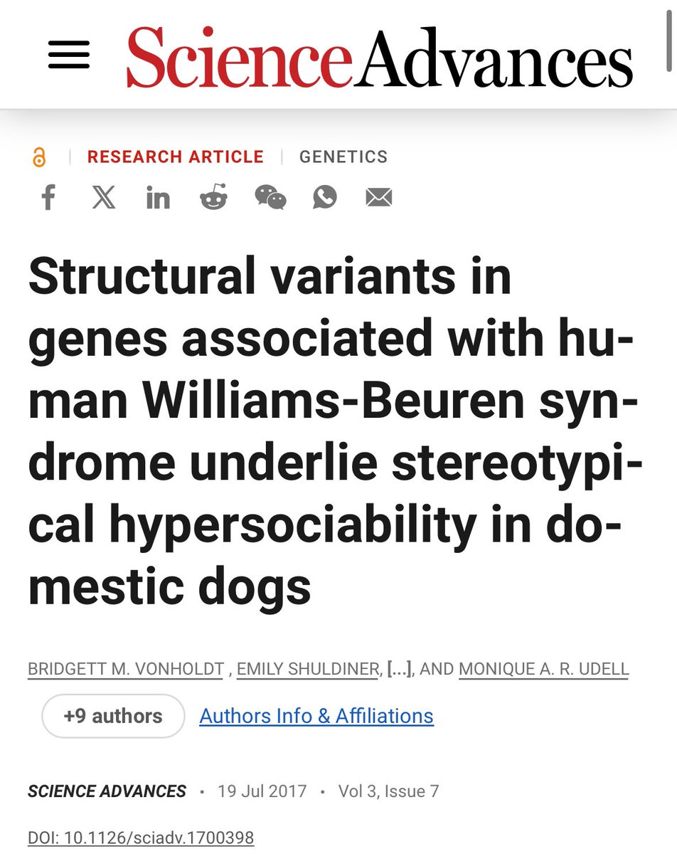 A evolução dos cães a partir dos lobos envolveu mutações genéticas específicas que favoreceram a aproximação com os humanos. 

Estudos identificaram mutações no cromossomo 6 dos cães, especialmente nos genes WBSCR17, GTF2I e GTF2IRD1, associadas a comportamentos hipersociais.