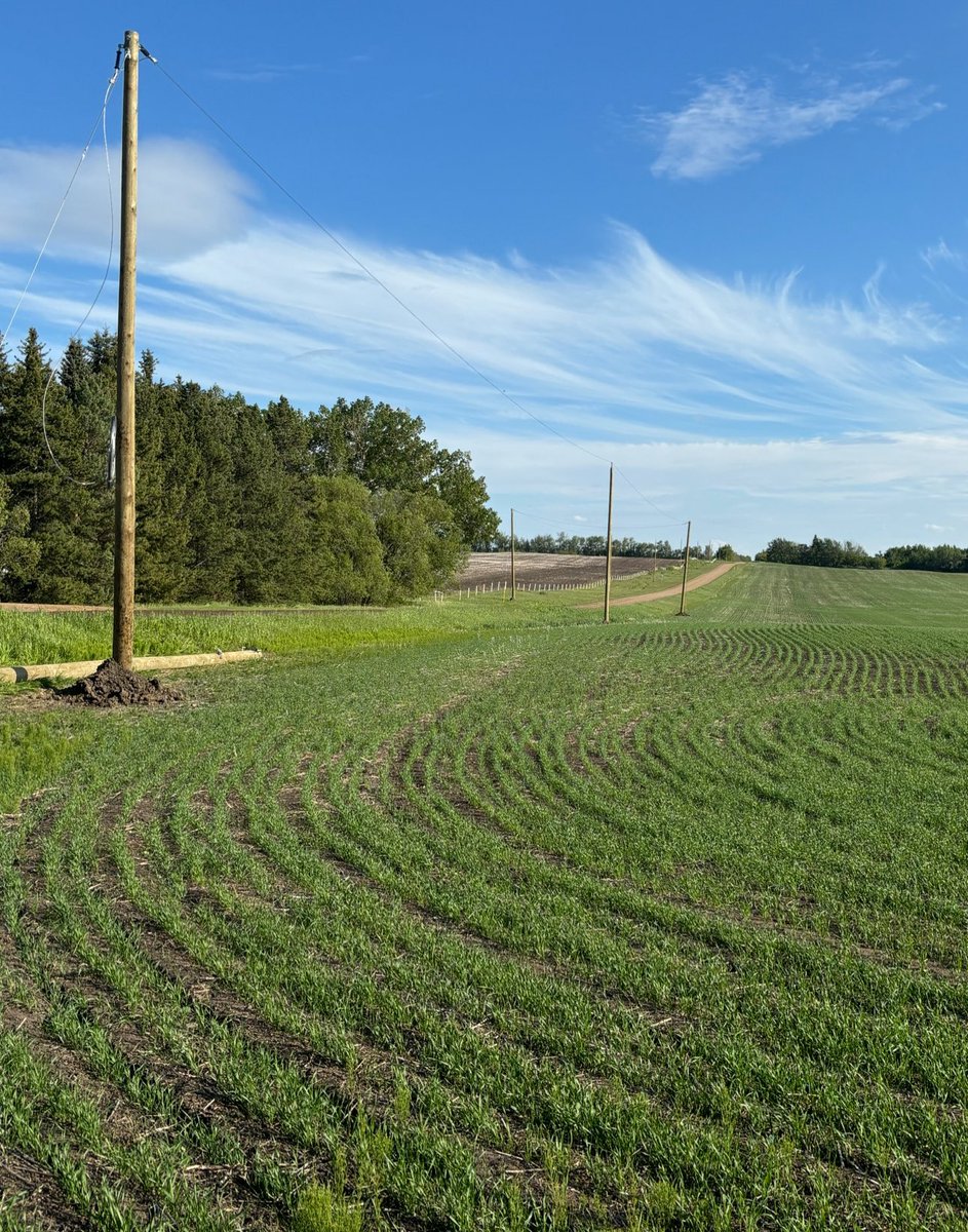 Curious. Does a power company need to notify the land owner when putting up power poles on your land? #landowner