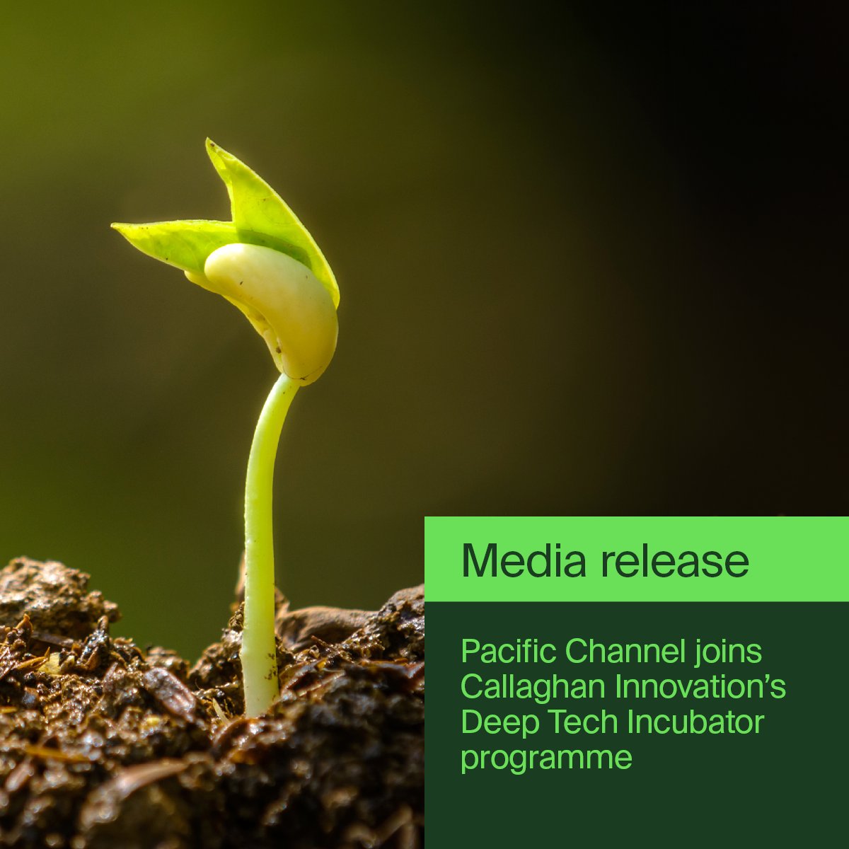 Callaghan Innovation tweet media