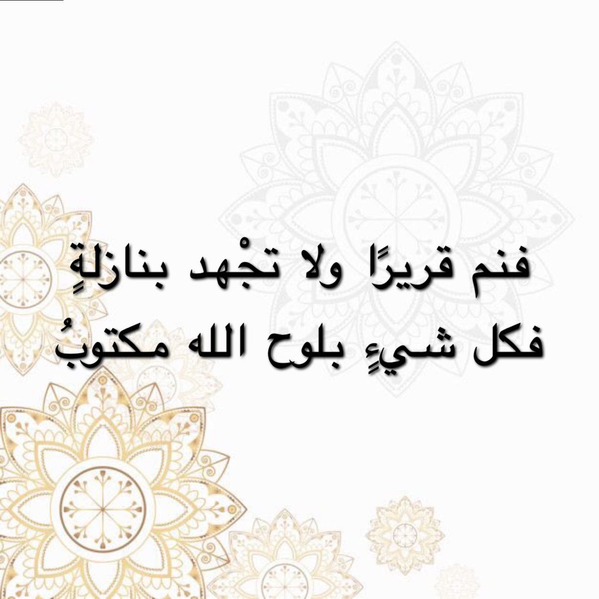 🔅 عابرة سبيل 🔅 (@ds_alanzi) on Twitter photo 