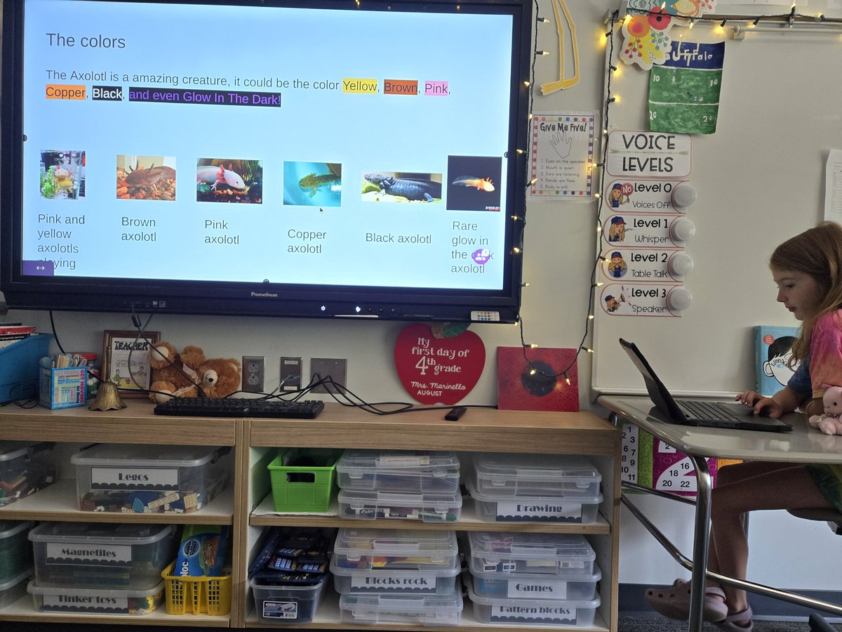 MsMarinelloAFES's tweet image. 2 more really cool topics including axolotls and motorsports/cars #teachtheclass 🎉