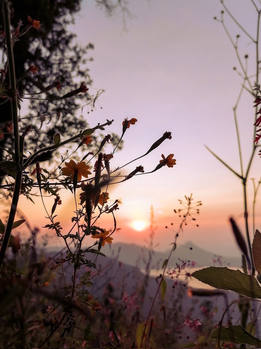 La noche eclipsa al crepúsculo, el viento nos envuelve y nos inunda. Los violetas y tardíos rayos que palidecen son la antesala para la oscuridad. Por un instante el día y la noche son uno.