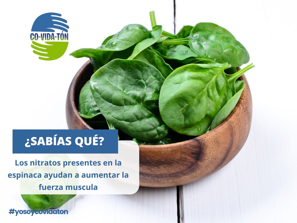 covidaton's tweet image. #SabíasQué Los nitratos presentes en la espinaca ayudan a aumentar la fuerza muscular 

 #Nitratos #Espinaca #FuerzaMuscular #ComerSano #Salud #Bienestar #CalidaddeVida #Nutrición #EstilodeVida ht.ly/Y6tj30s374X