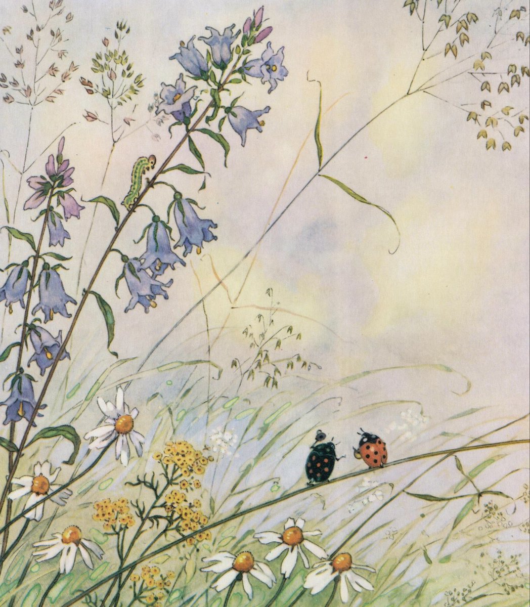 of course i would still love you if were a bug