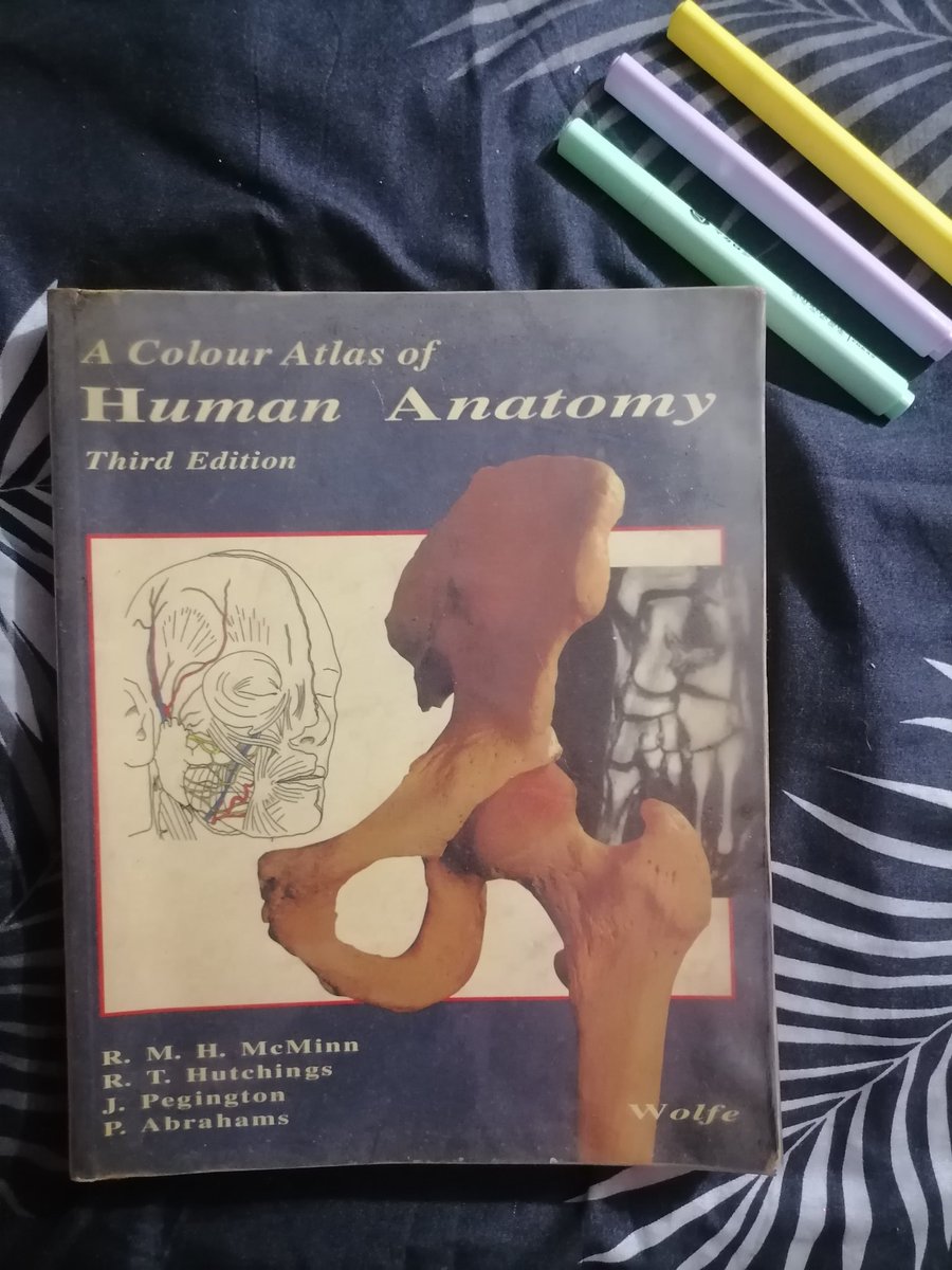 Student_Nxrs's tweet photo. ❗SELLING ❗

Anatomy and physiology books

Selling as set for 400 pesos.

Good for first year nursing students.

Dm for inquiry. https://t.co/pJlgh7MC62