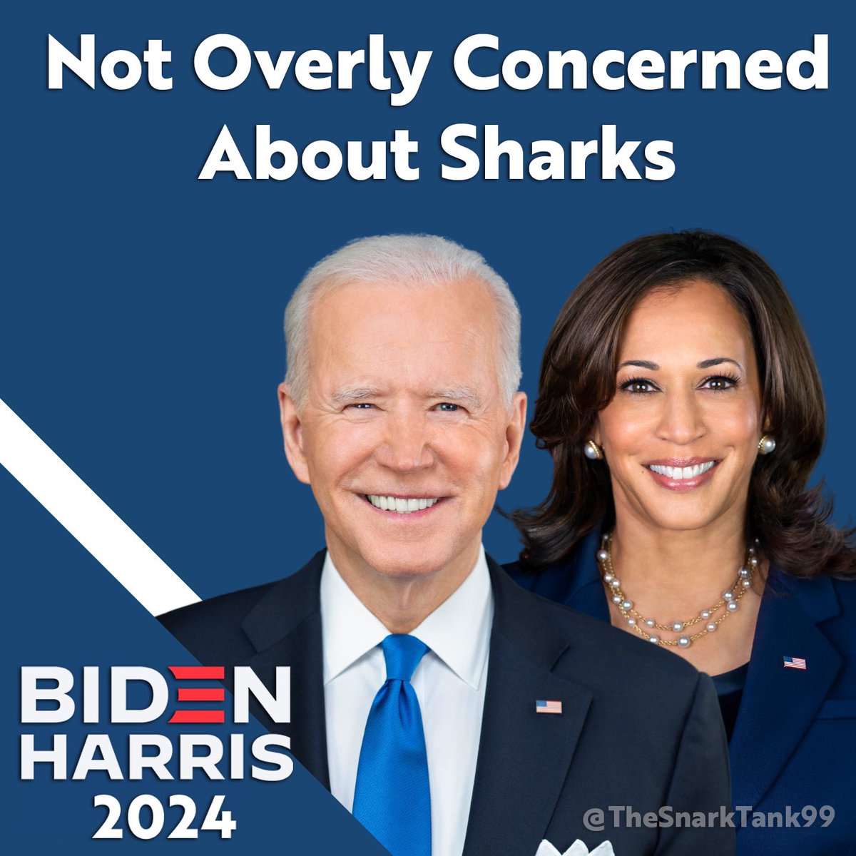 TheSnarkTank99's tweet image. #BidenHarris2024