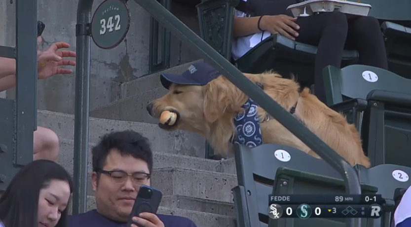 Camd3n_77's tweet photo. Bark in the Park nights are the best https://t.co/NcdswUXQJe