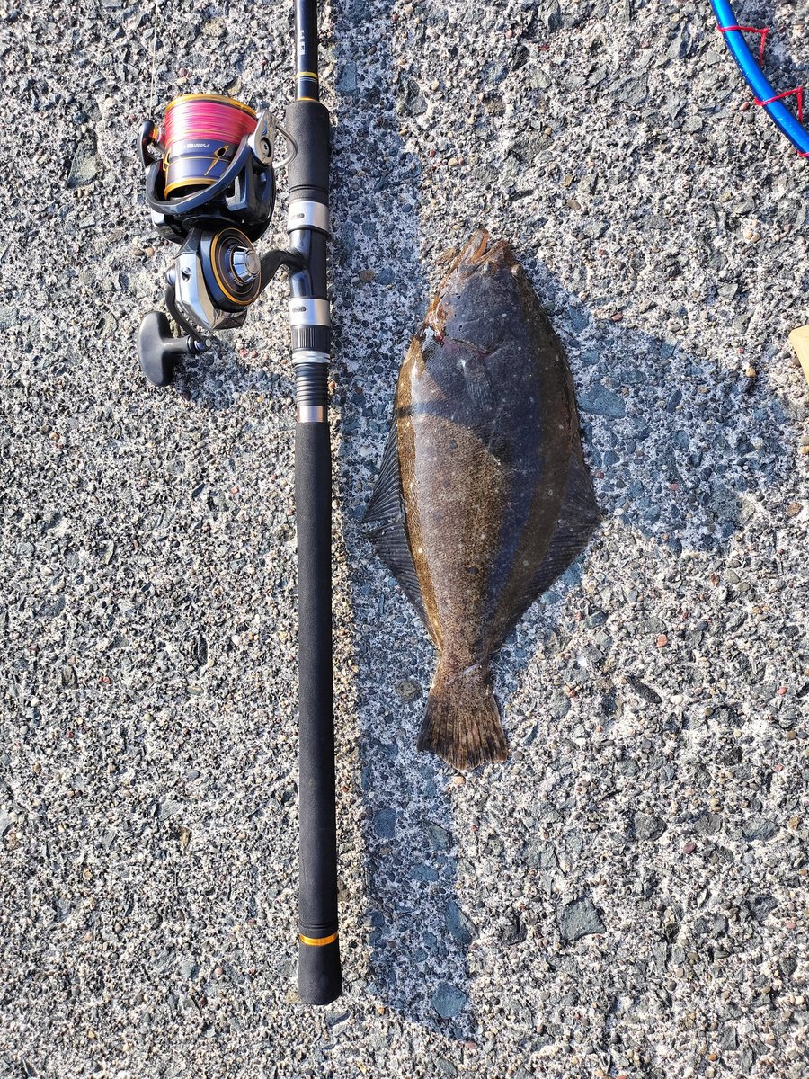 ともすずか tweet media