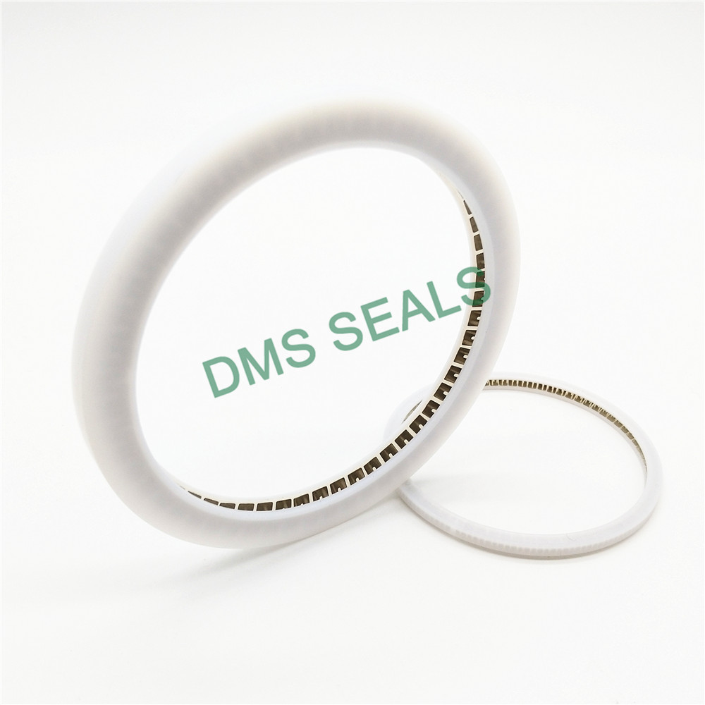 DMSseals's tweet image. Service you with our heart and soul, provide you with DMS Seals&apos;s excellent oil seal spring. dmsseals.com/internal-face-… #oilsealspring #springseals #springloadedseal