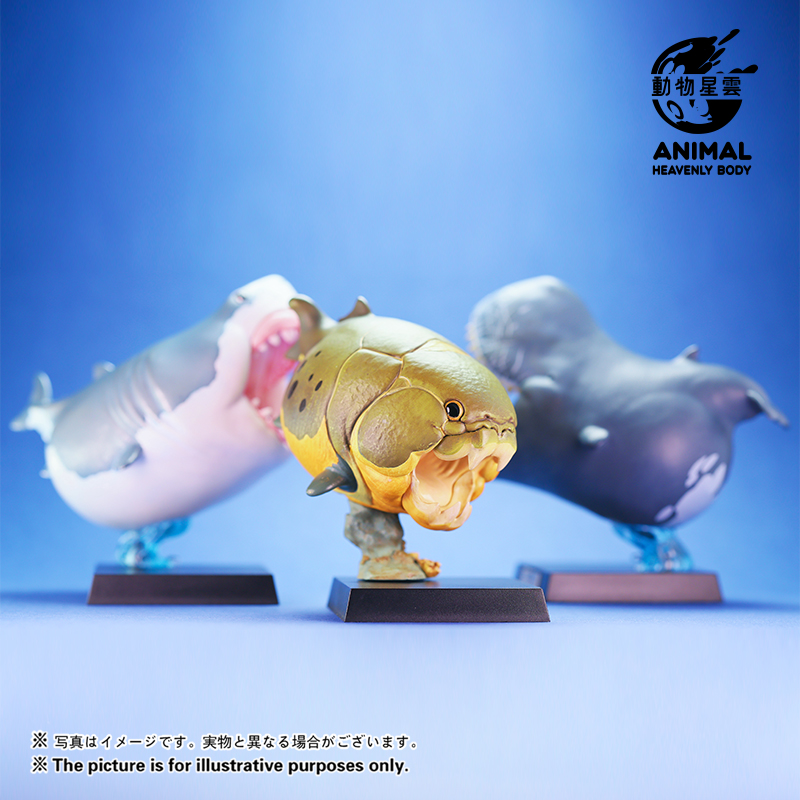 动物星球AP (@animalp39390734) / X 动物星球AP (@animalp39390734) / X