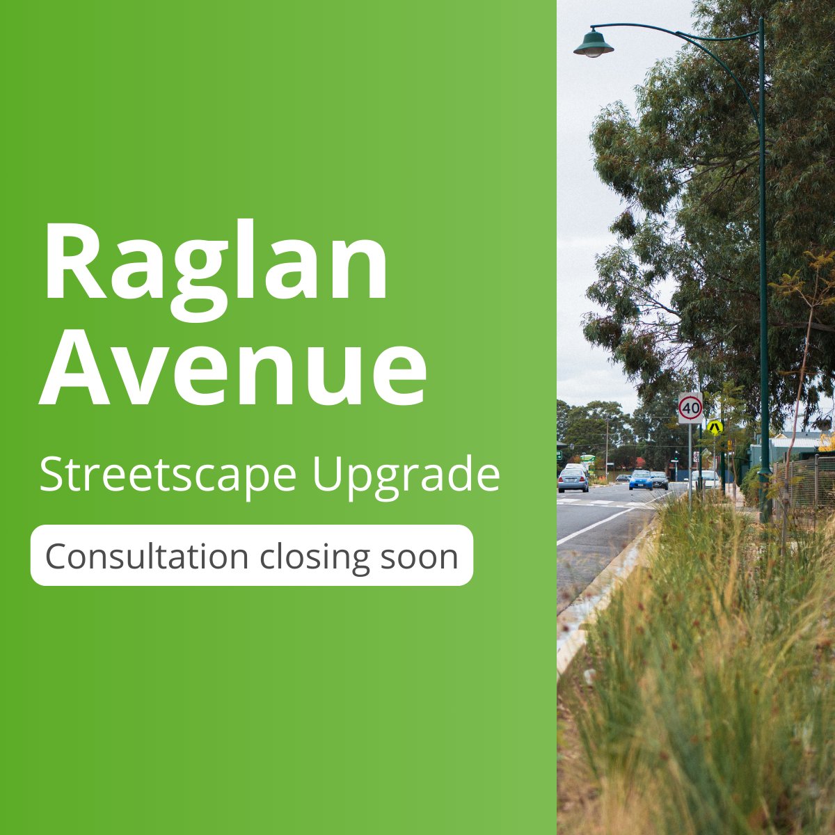 Time's running out to have your say on the Raglan Avenue streetscape upgrade! 🌳

Review the concept design and share your thoughts now: makingmarion.com.au/raglan-avenue-…

Consultation is open until 16 June 2024.