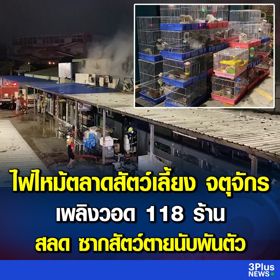 เศร้าใจมากจริงๆ ไฟไหม้ตลาดสัตว์เลี้ยงสวนจตุจักร 118 ร้าน มีสัตว์ต่างๆทั้ง หมาแมว สัตว์แปลกๆ โดนไฟคลอกตาย 1,000 ตัวเลย  เจ้าหน้าที่คาดว่าไฟฟ้าลัดวงจรในร้าน กูใจสลายแล้ว สงสารน้องมากจริงๆ!!!
#ไฟไหม้