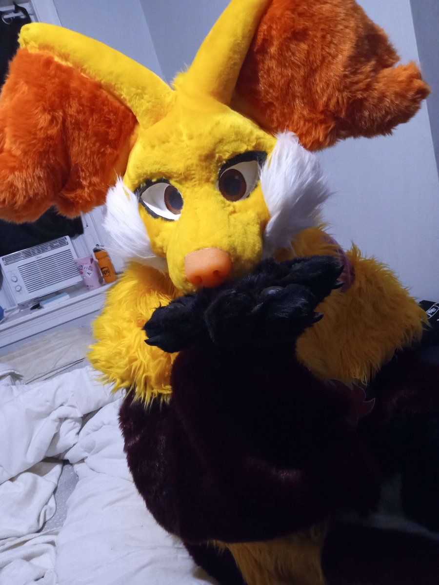 BlackenedBat's tweet image. Lucy wishes everyone a happy #delphoxday, especially her bestie @delphoxyy_ 
📸 @THEScarletMads