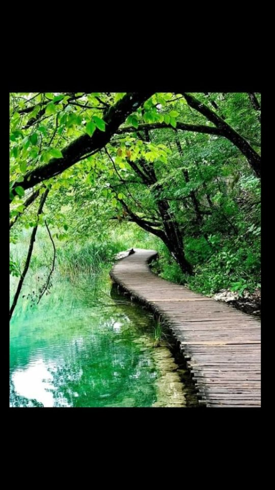 في فجر هذا اليوم.... 
اللهم أرزقنا حمدًا يملأ الميزان... و شكراً يزيدنا في الإحسان... و توبةً صادقةً تدخلنا بها الجنان... و نورًا و هدايةً بالإيمان... و صحةً وعافيةً في الأبدان... أسعد الله صباحكم بكل خير.... #صلاةالفجر...#قرآن_الفجر... #تقبل___الله__طاعتكم... #آمین__یا__رب__