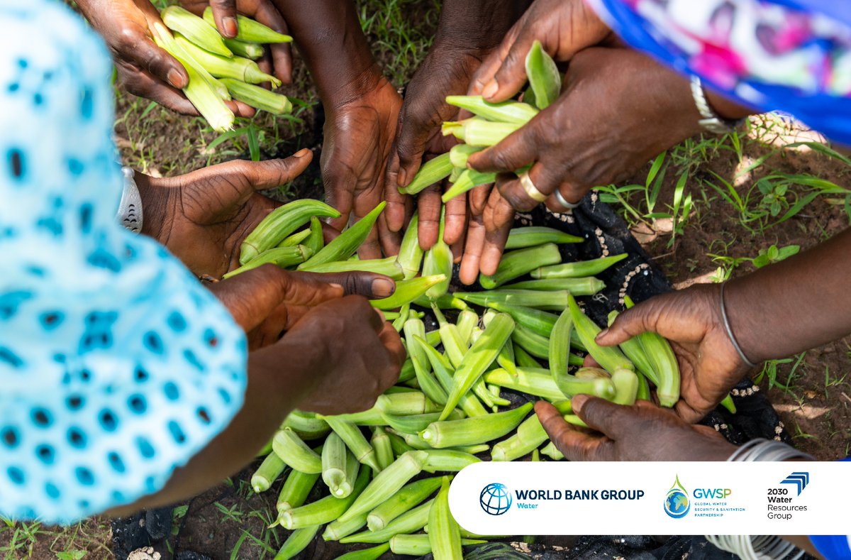 2030WRG's tweet photo. 💧🌱💧🌿 Climate-resilient irrigation offers hope, sustaining the planet, cutting emissions, and building resilience. Discover why it's a game-changer for a #LiveablePlanet.
👉https://t.co/uA40jL4OeK
@WorldBankWater @TheGwsp @WB_AsiaPacific https://t.co/8GguP7K19f