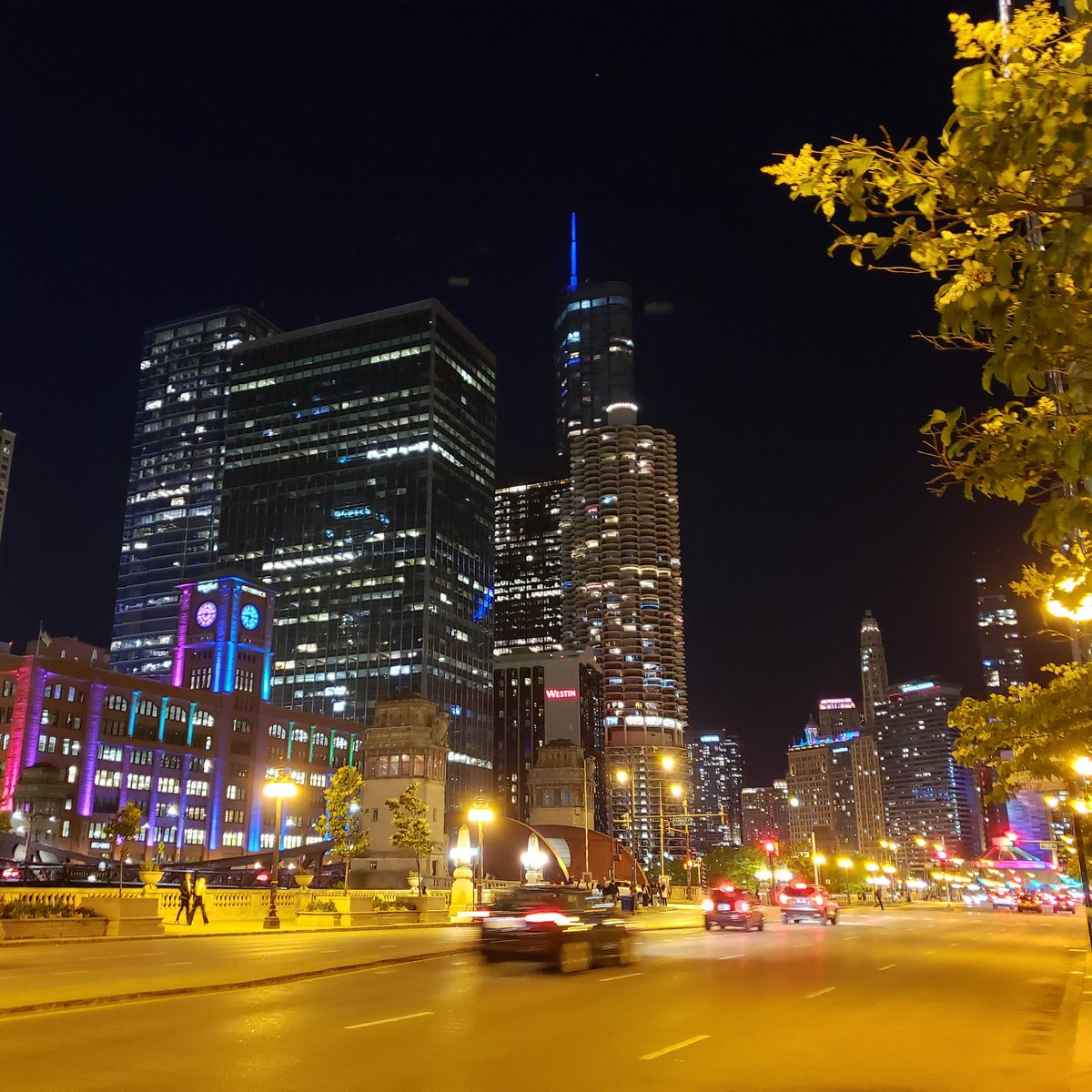 From the River to the Sea, Palestine will be free tweet media