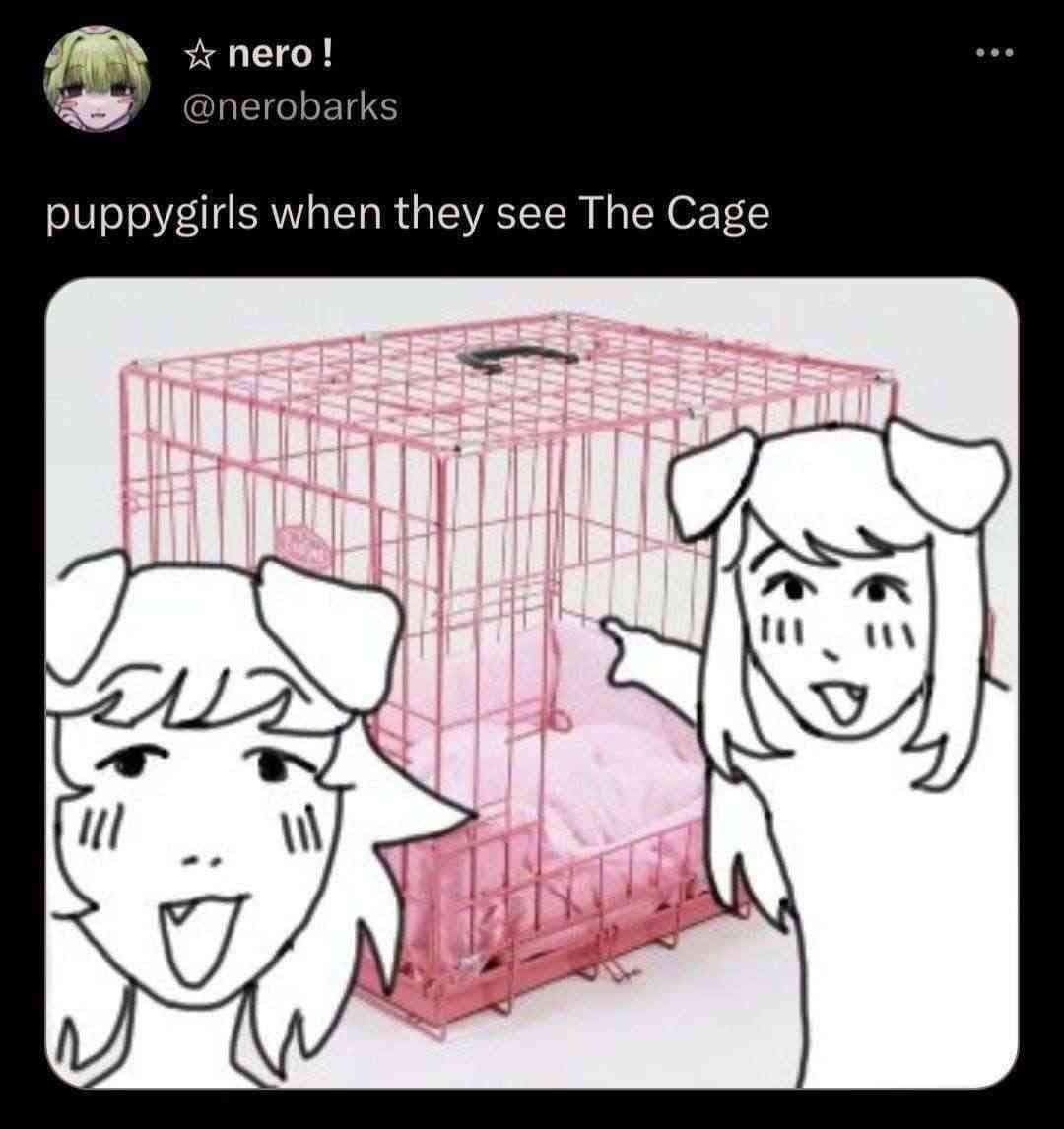 stoxped's tweet photo. puppyposting day 151 https://t.co/xnEW4UBrMF