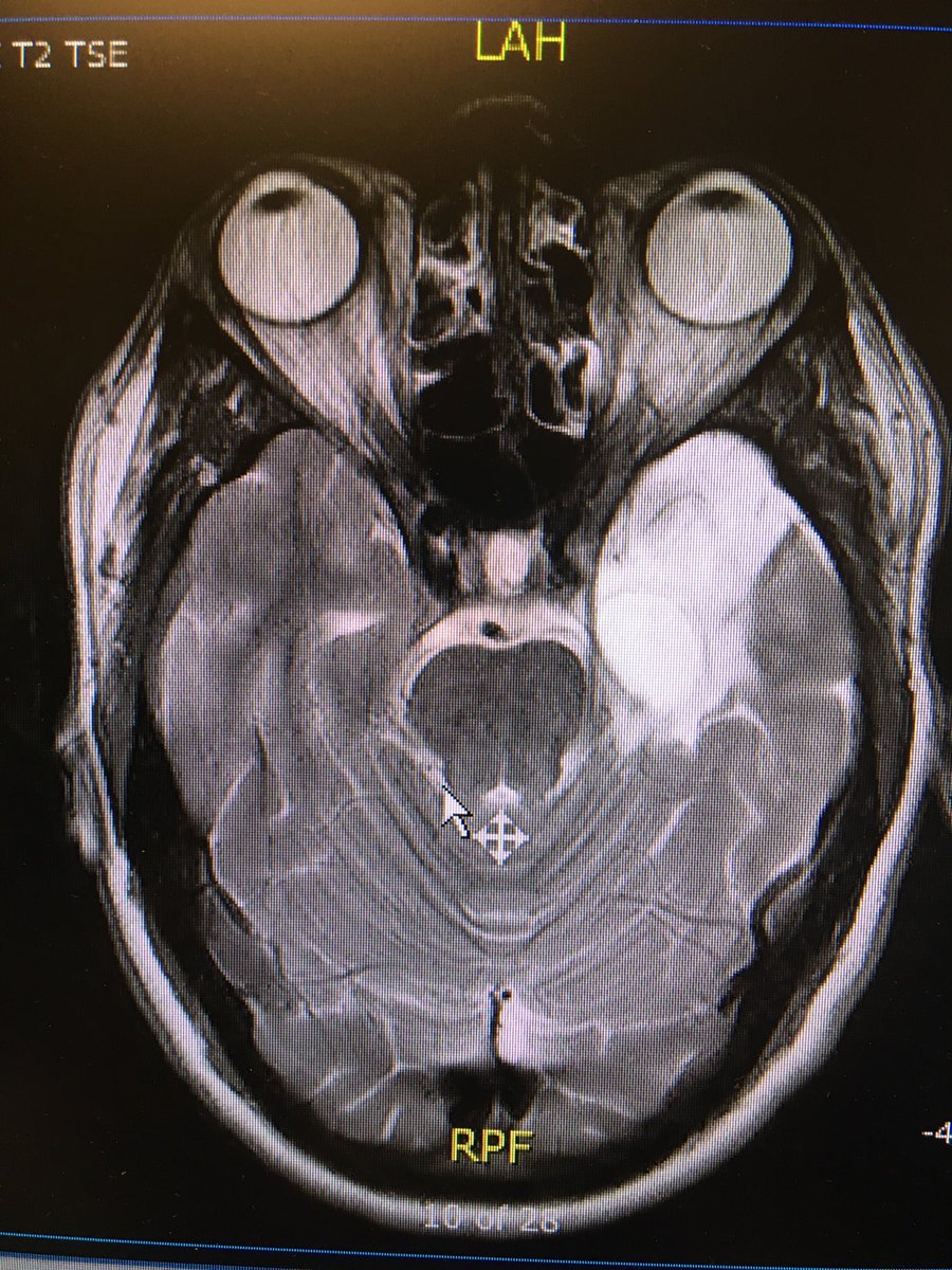 Andrea Filip tweet media