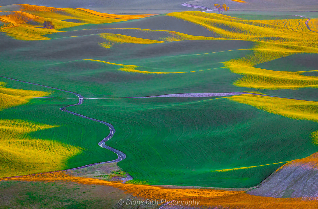 spokesdog's tweet photo. View from atop Steptoe Butte. 
#Palouse https://t.co/uPzvvTE3q8