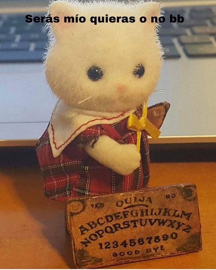 cc ternurines tweet media