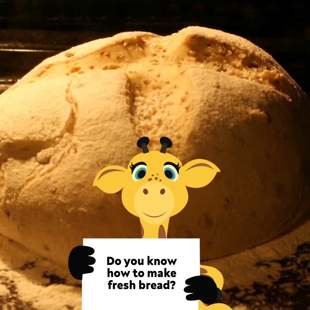 Life Ed | Healthy Harold tweet media