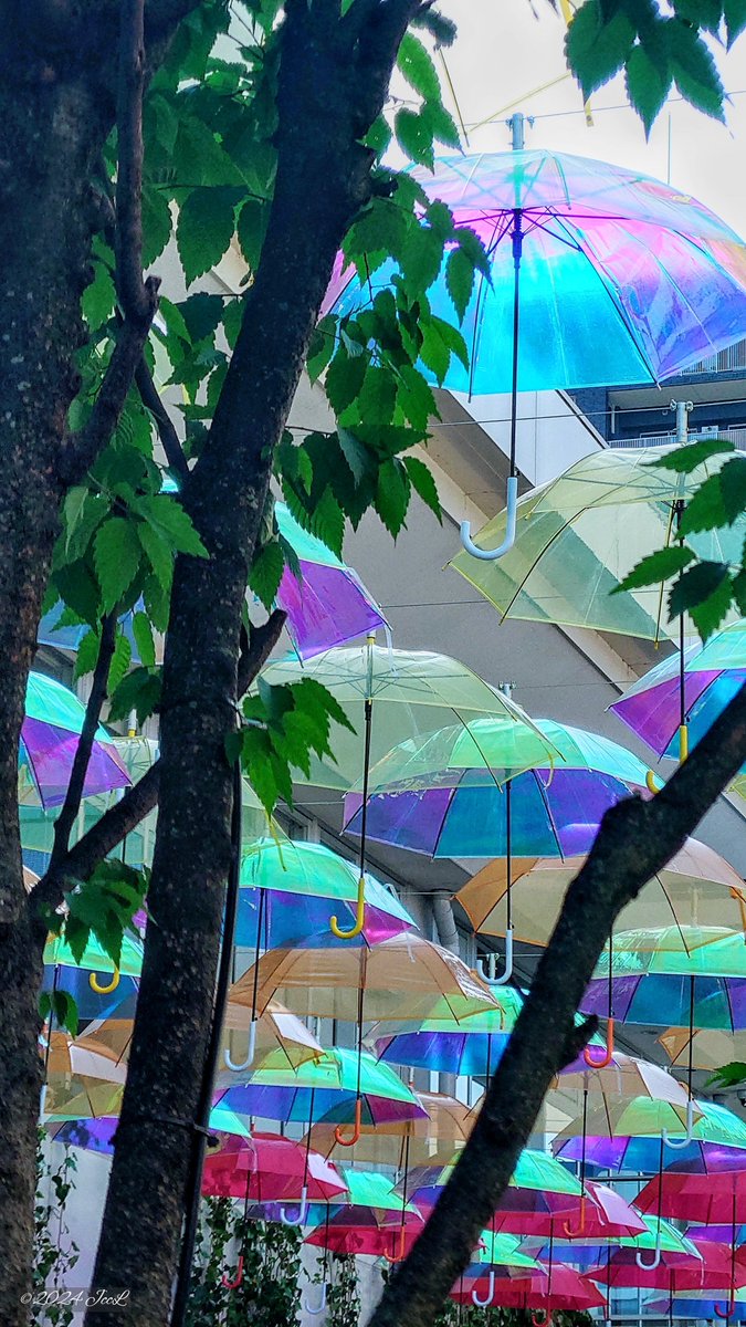 jrsjkai's tweet photo. エイスクエア アンブレラパティオ2024☂️
2024.05.26撮影
#滋賀県 #草津市 #エイスクエア #ASQUARE #アンブレラパティオ2024 #傘 https://t.co/Pj2BvrOhYW