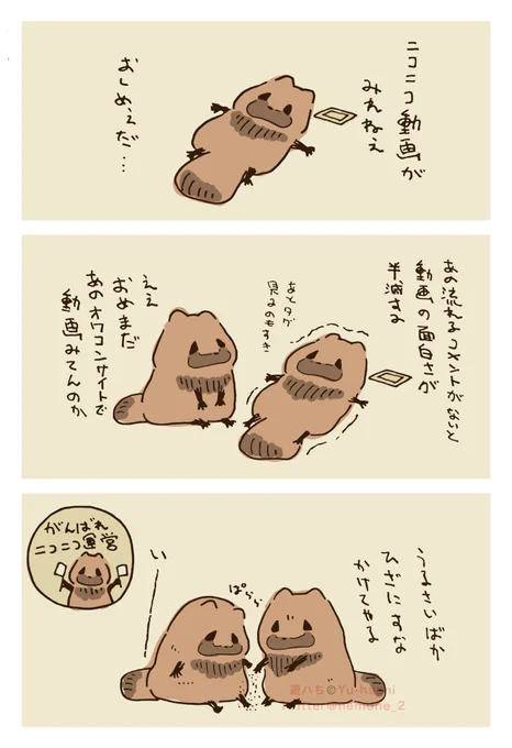 #がんばれニコニコ運営 
動画が見れないと たぬきはもうだめです… 
