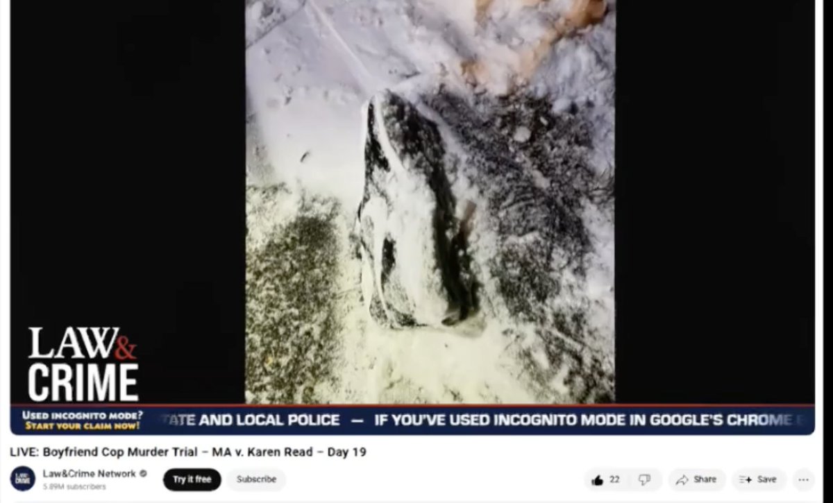 sarah collins tweet media