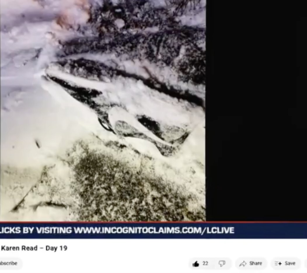 sarah collins tweet media