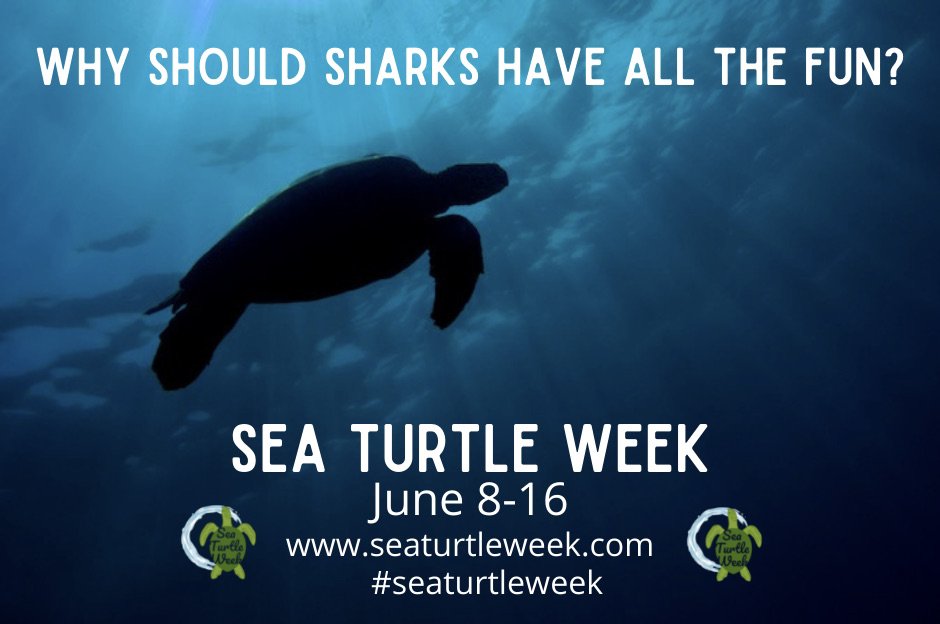 Wildlife Trafficking Alliance tweet media