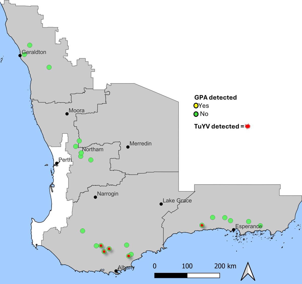 UPDATE - TuYV detected in cabbage aphid at 5 sites on the south-coast. Without GPA the risk is still low but virus is present. Dual-purpose or volunteer canola, and wild radish are likely sources. Keep an eye out for GPA in young spring canola <a href="/DPIRDbroadacre/">DPIRD Broadacre - WA Grains & Livestock</a> <a href="/GRDCWest/">GRDC West</a> <a href="/theGRDC/">GRDC</a>
